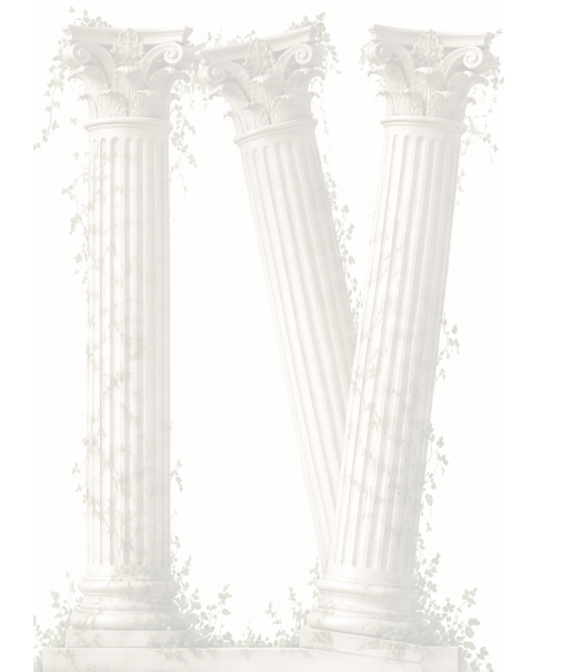 Frame 65(6)